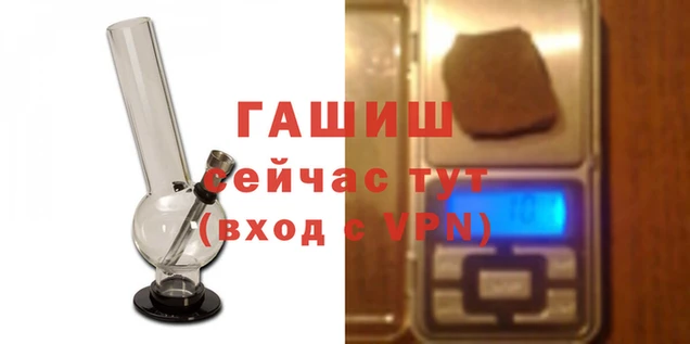 гидропоника Алзамай