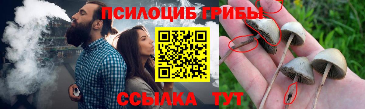 Тверь  Галлюциногенные грибы Psilocybe  закладки  Вход с VPN 