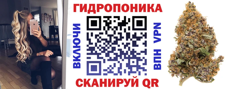 Конопля семена  Тверь 